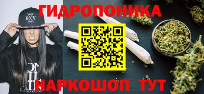 твердый Гусев