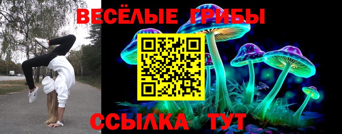 Псилоцибиновые грибы мицелий  Вход с VPN  Нижневартовск 