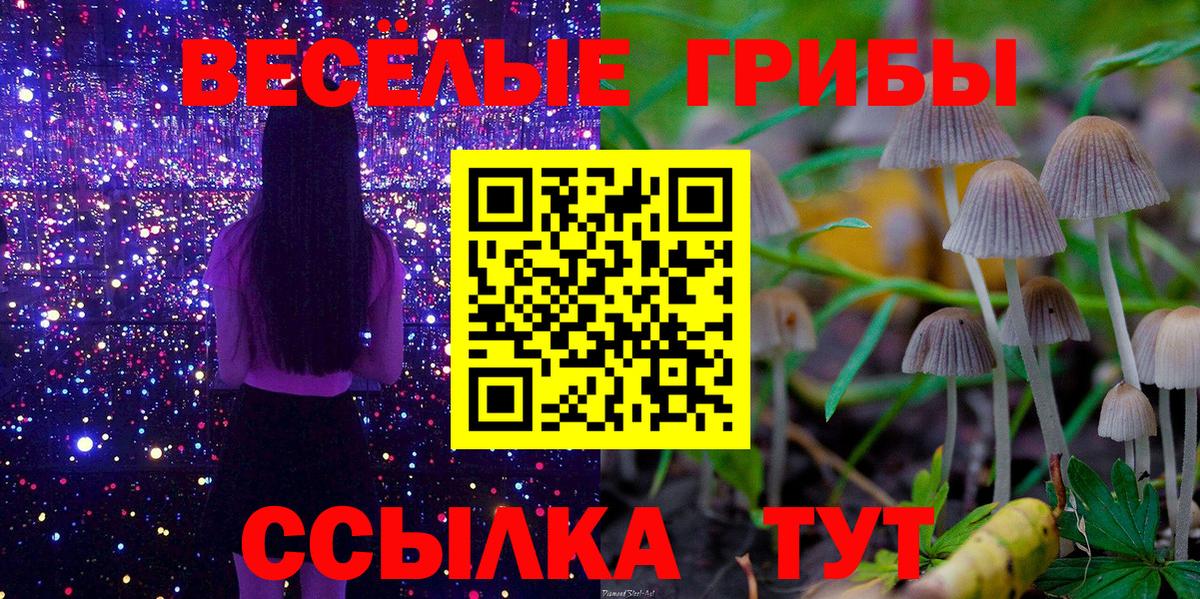 Галлюциногенные грибы Cubensis Нижневартовск